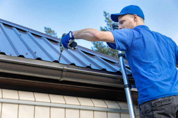 Best Gutter Installation and Repair  in Fish Hawk, FL