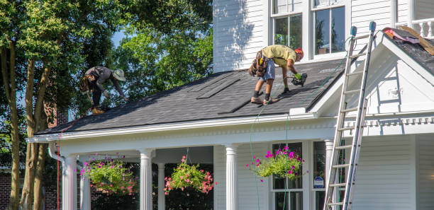 Best Emergency Roof Repair Services  in Fish Hawk, FL